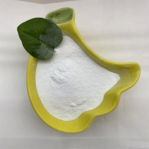 NSI-189磷酸鹽